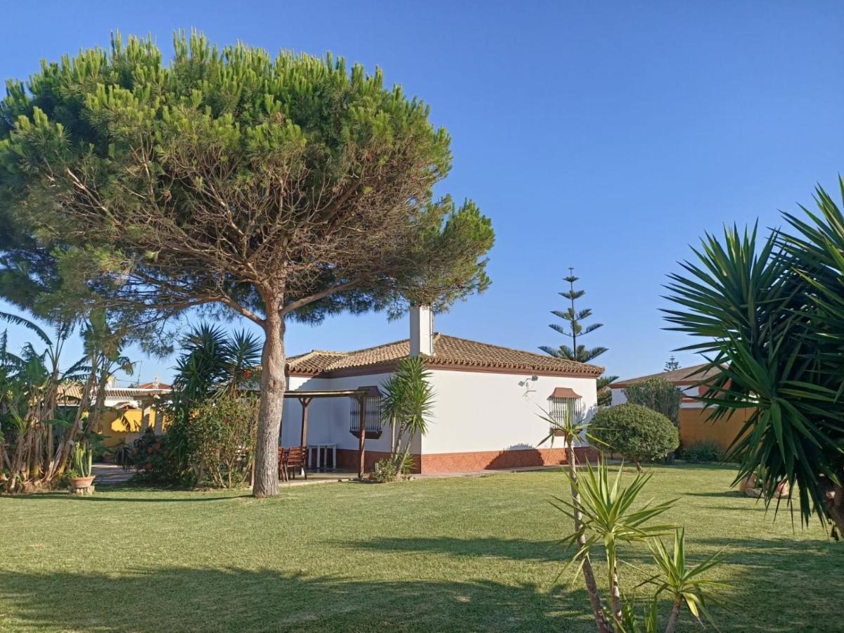 エル・パルマル Casa Manoliヴィラ エクステリア 写真